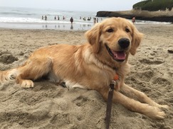 Mojo 7 months