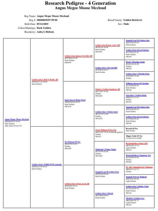 AKC Moosey Pedigree - 4 Generation