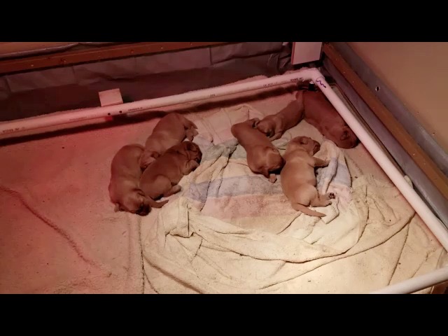 movie-jm19--15-wks