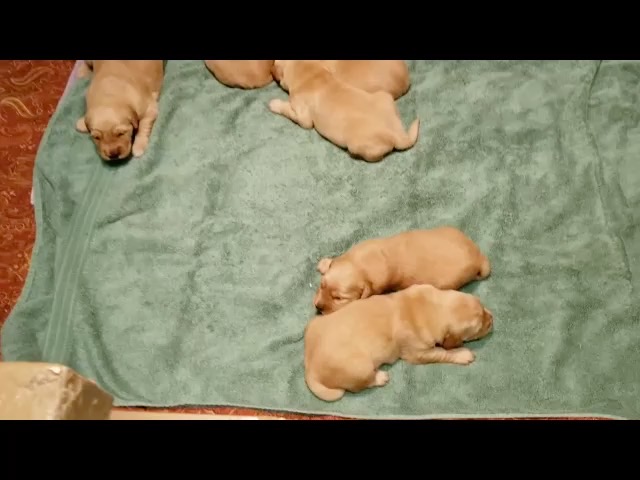 movie-jm192--25-wks