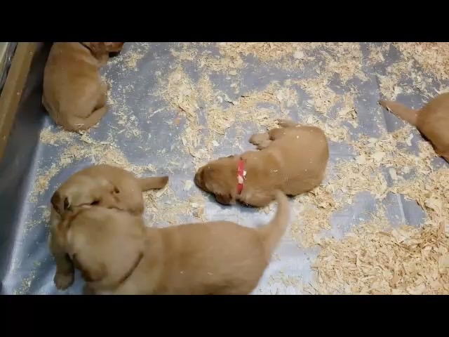 movie-jm192--45-wks