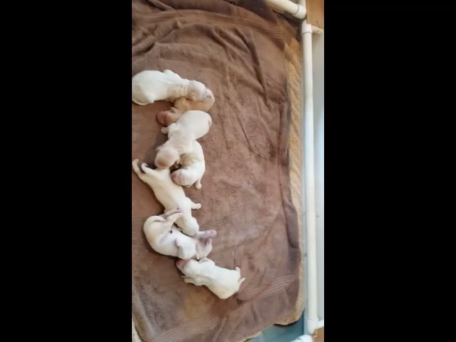 movie-mm22-25wks-1