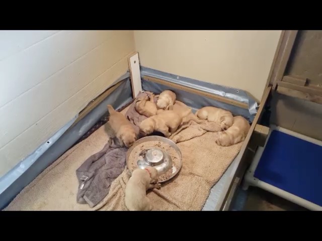 movie-mm22-3-wks