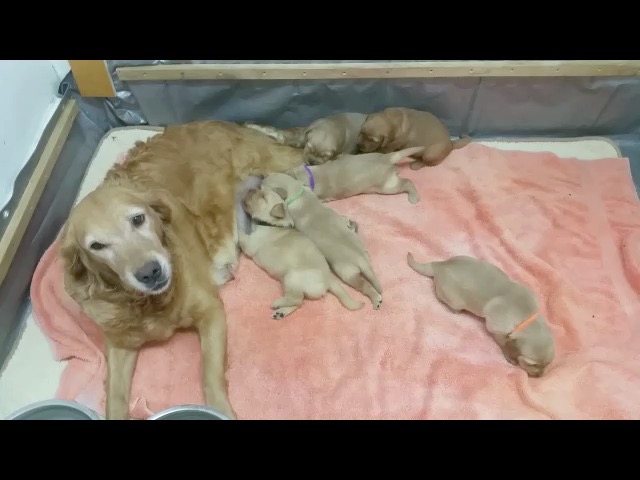 movie-pm172--3-wks
