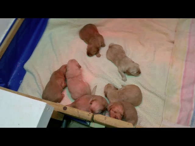 movie-pm25--3-wks