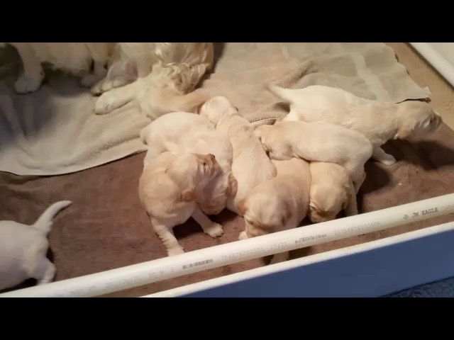 movie-tm18--25-wks-2