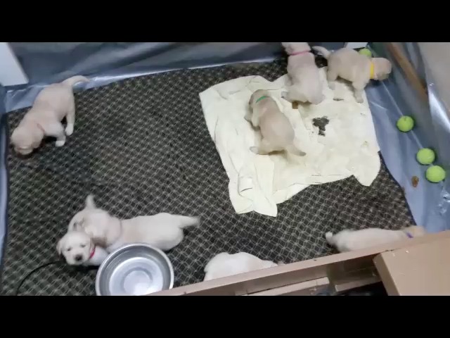 movie-tm182--35-wks