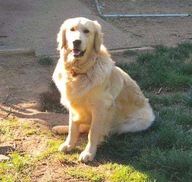 20180409_140140 copy