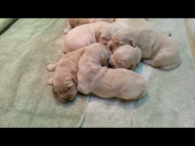 tm16--15-wks-3
